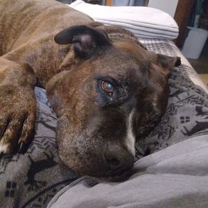 Meet your Posher, Joanne